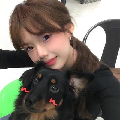 大丹麦狗马默杜克