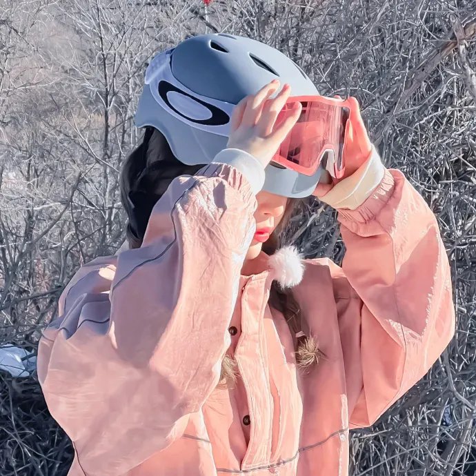 龙珠剧场版:迈向最强之道